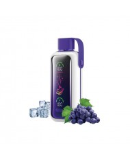 Vozol Star 20000 Grape Ice Vozol Star 20000 Grape Ice