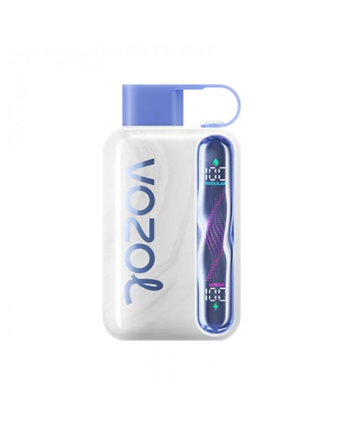 Vozol Star 40000 Blueberry Mint